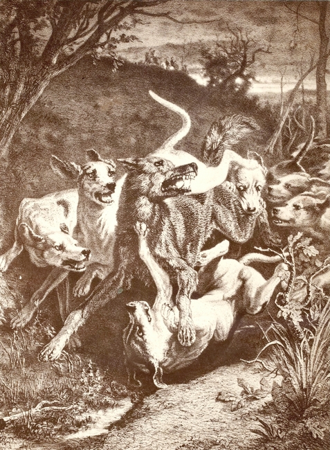Tirée de l'ouvrage La Chasse du loup (1861) - Emmanuel Le Couteulx de Canteleu - Bouchard-Huzard (Paris) - BnF (Gallica)